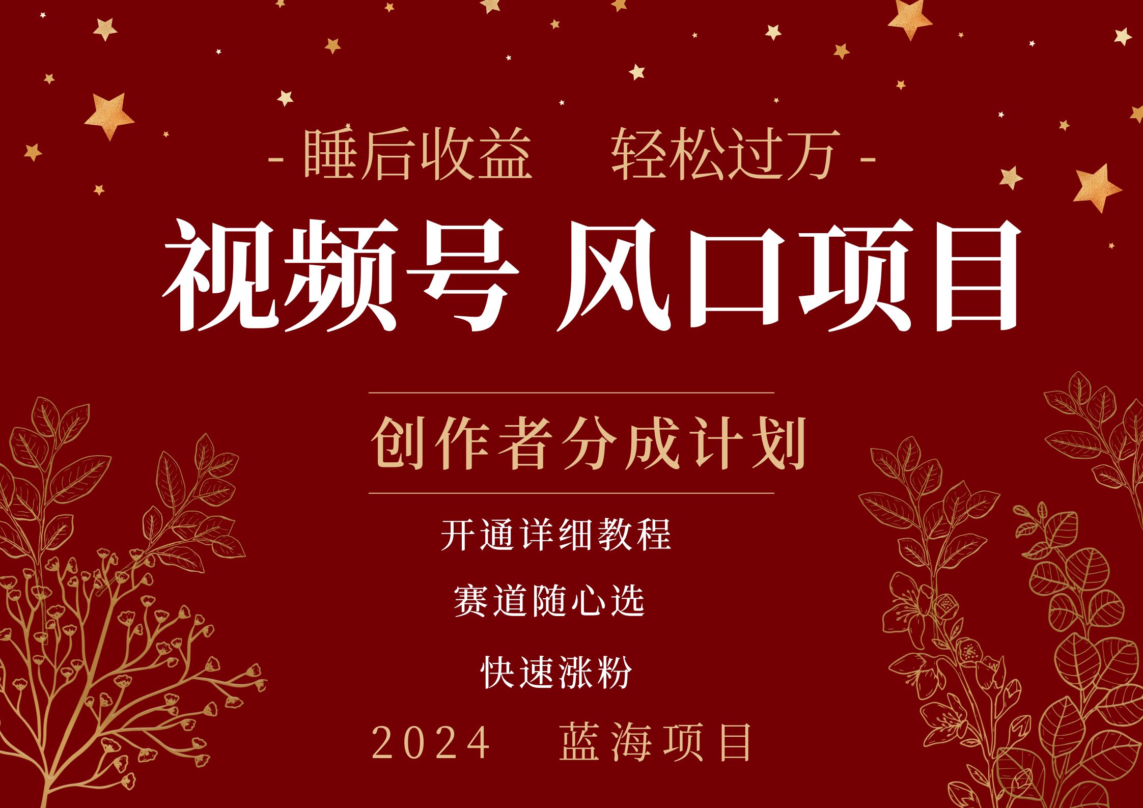 拥有睡眠收益的微信视频号大风口项目，轻松月入过万+，多赛道选择，可矩阵，玩法简单轻松上手-蓝图副业
