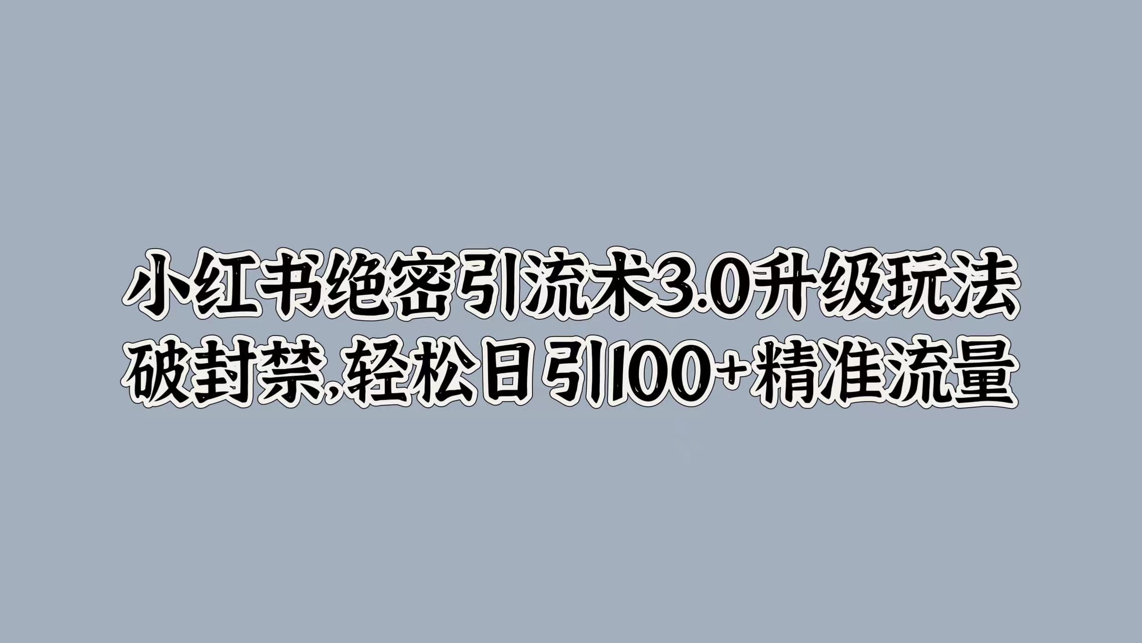 小红书绝密引流术3.0升级玩法，破封禁，轻松日引100+精准流量-蓝图副业