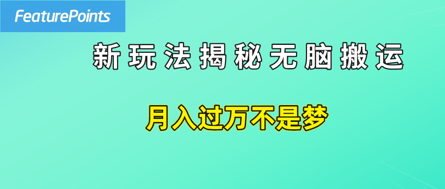 简单操作，每天50美元收入，搬运就是赚钱的秘诀！-蓝图副业