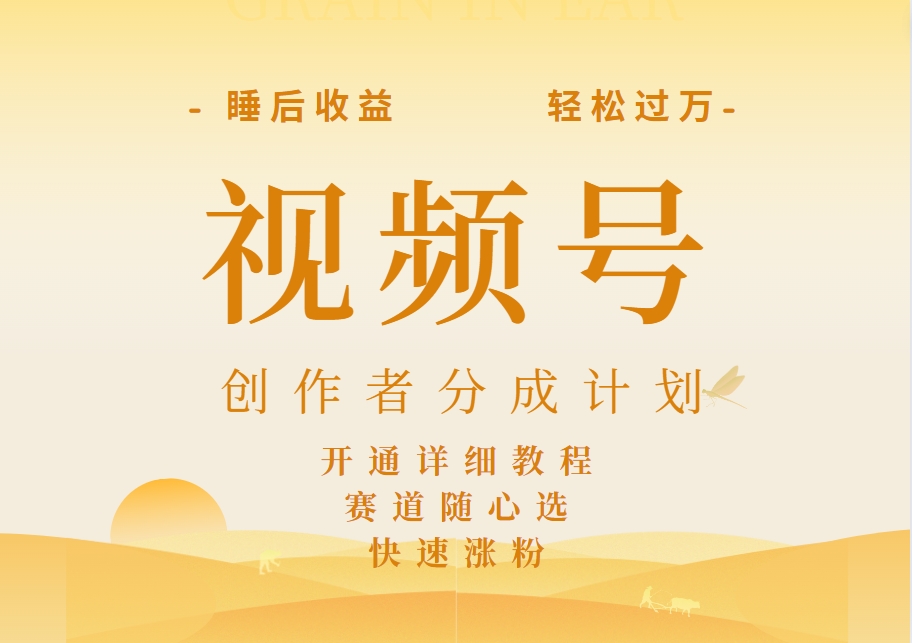 详解视频号创作者分成计划，暴力起号，可同步多平台，实现睡后收入2W+，看懂即可操作！-蓝图副业
