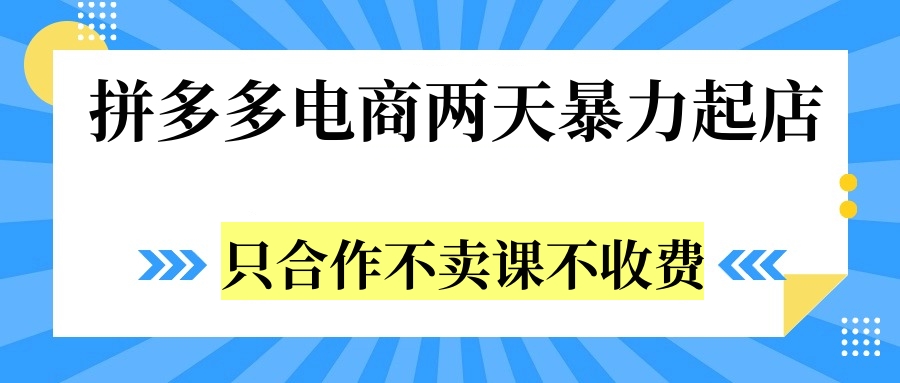 拼多多两天暴力起店，只合作不卖课不收费-蓝图副业