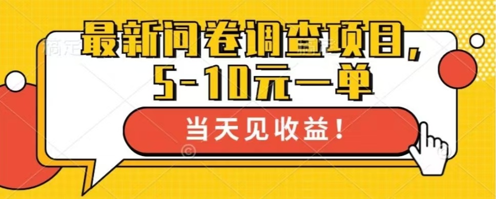 最新问卷调查项目，共12个平台，单日零撸100＋-蓝图副业