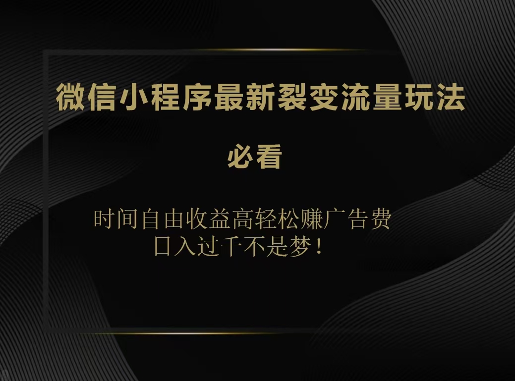 微信小程序最新裂变流量玩法，时间自由收益高轻松赚广告费，日入200-500+-蓝图副业