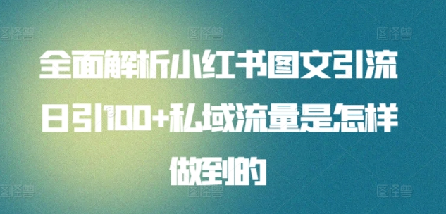 暴力引流 小红书图文引流日引100私域全面拆解【打粉人必看】-蓝图副业