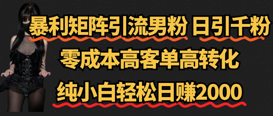 暴利矩阵引流男粉（日引千粉），零成本高客单高转化，纯小白轻松日赚2000+-蓝图副业