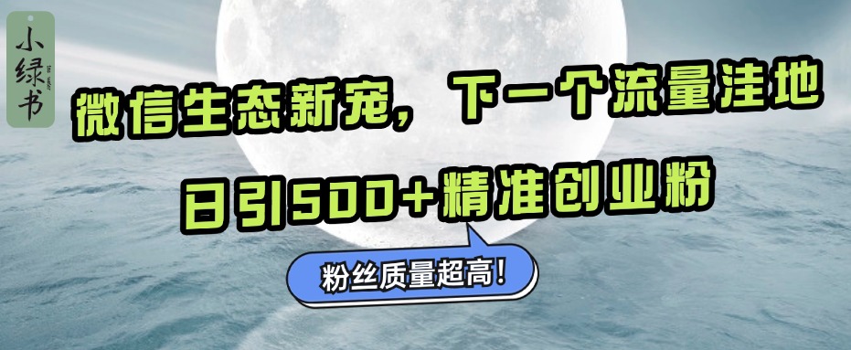 微信生态新宠小绿书:下一个流量洼地,粉丝质量超高,日引500+精准创业粉,-蓝图副业