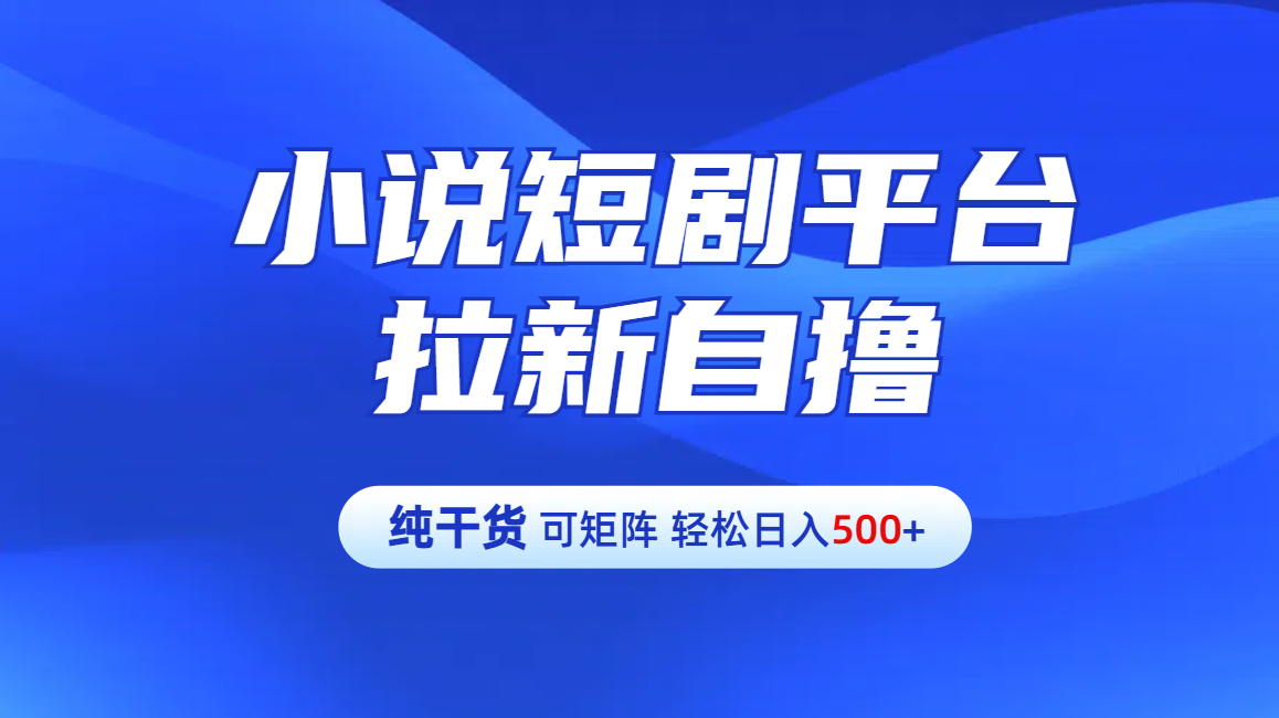 【纯干货】小说短剧平台拉新自撸玩法详解-单人轻松日入500+-蓝图副业