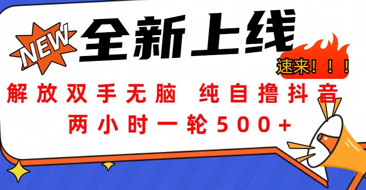 解放双手无脑 纯自撸抖音 两小时一轮500+-蓝图副业