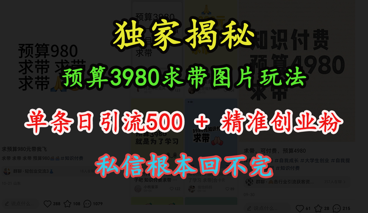 “小红书”预算3980求带 图片玩法，单条日引流500+精准创业粉，私信根本回不完-蓝图副业