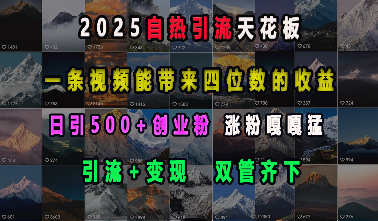 2025自热引流天花板，一条视频能带来四位数的收益，引流+变现双管齐下，日引500+创业粉，涨粉嘎嘎猛-蓝图副业