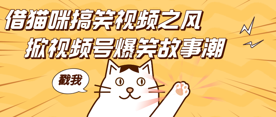 借猫咪搞笑视频之风，掀视频号爆笑故事潮，轻松日赚四位数，开启无门槛赚钱新体验！-蓝图副业