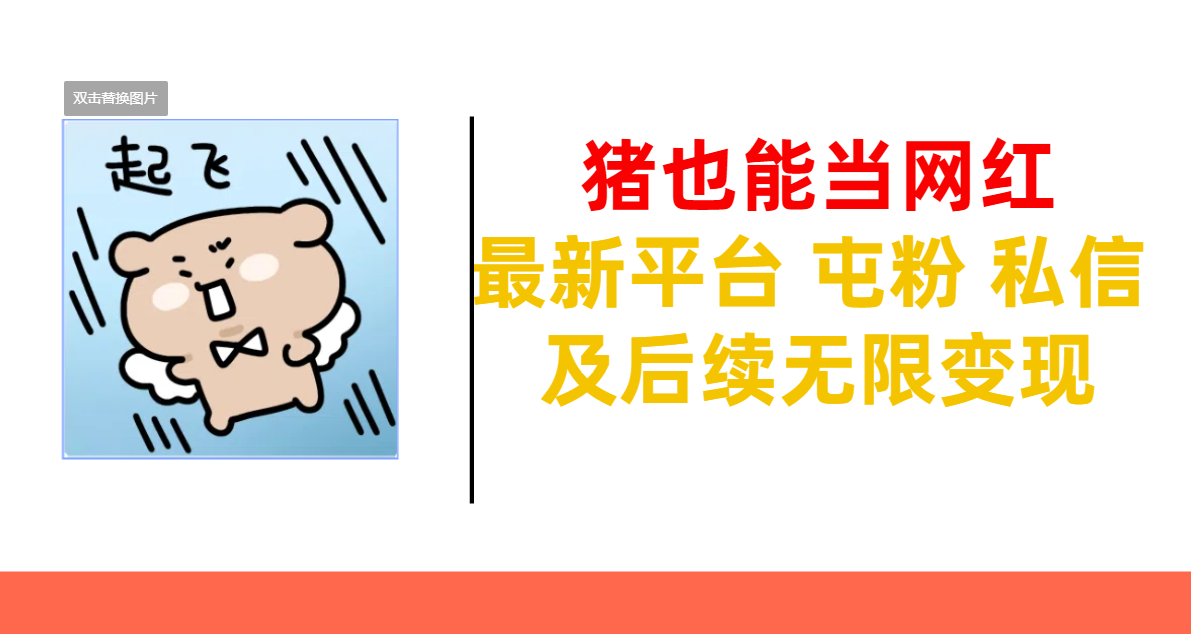 猪也能当网红-最新平台 屯粉 交流 私信 及后续无限变现-蓝图副业