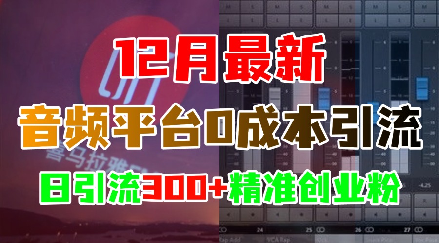 12月最新：音频平台0成本引流，日引300+精准创业粉-蓝图副业