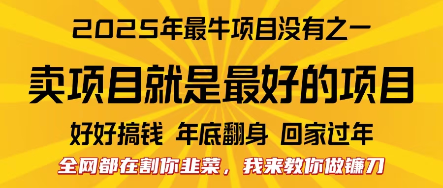 全网都在割你韭菜，我来教你做镰刀。卖项目就是最好的项目，2025年最牛互联网项目-蓝图副业
