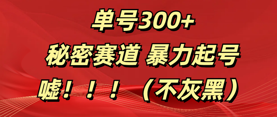 单号300+  秘密赛道 暴力起号  （不灰黑）-蓝图副业