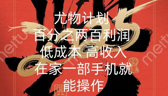 尤物计划-200％暴利 低成本 高收入 一部手机即可操作-蓝图副业