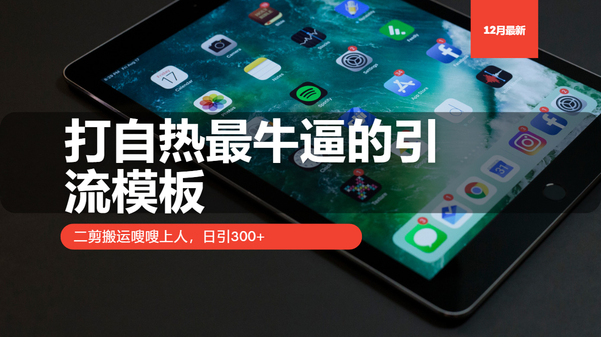 打自热最牛逼的引流模板，日引300+，二剪搬运嗖嗖上人-蓝图副业