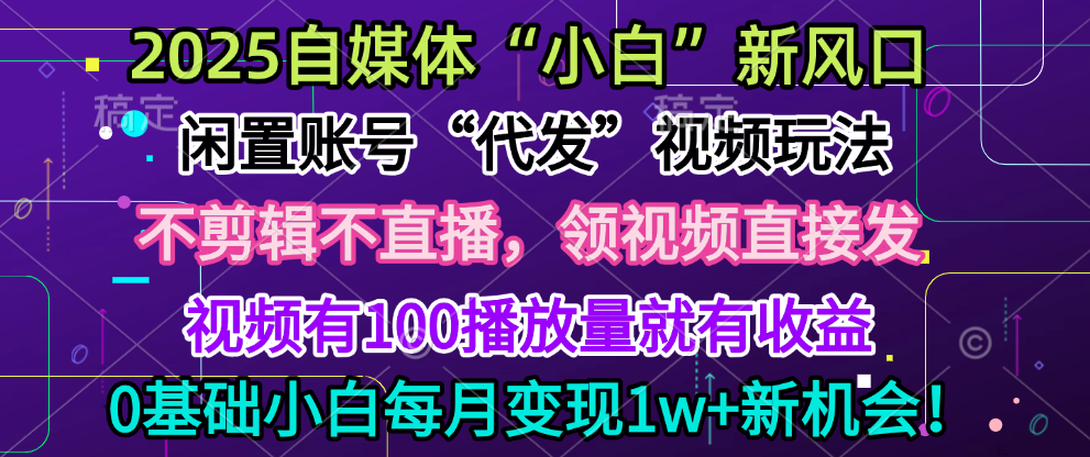 2025每月躺赚5w+新机会，闲置视频账号一键代发玩法，0粉不实名不剪辑，领了视频直接发，0基础小白也能日入300+-蓝图副业
