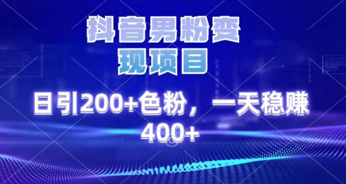 2025最新男粉项目 日引200 轻松月入2w+-蓝图副业