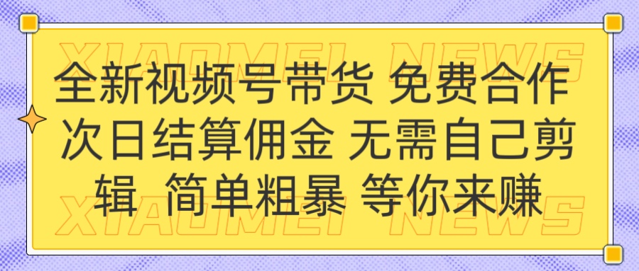 全新视频号 免费合作 佣金次日结算 无需自己剪辑-蓝图副业