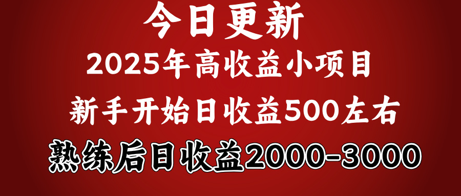 2025开年好项目，新手日收益500+ 熟练掌握后，日收益平均2000多-蓝图副业