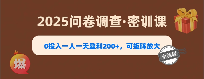 2025《问卷调查》0投入一人一天盈利200+，可矩阵放大-蓝图副业