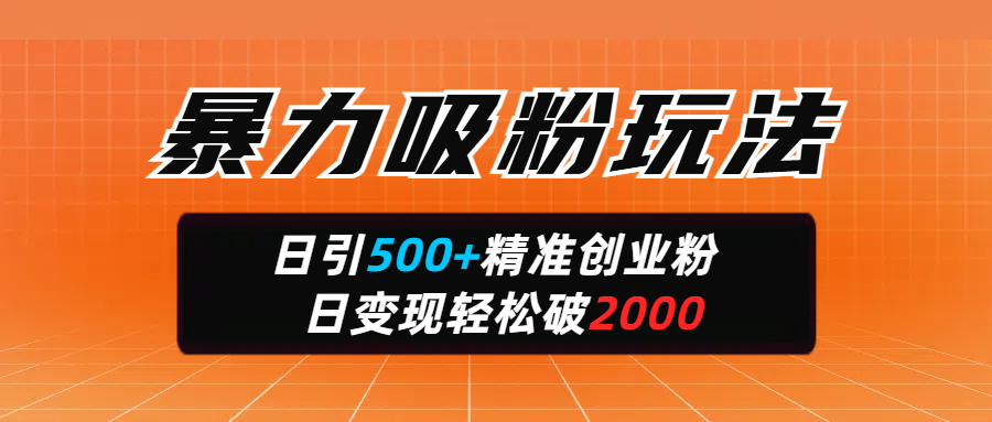 暴力吸粉玩法，日引500+精准创业粉，日变现轻松破2000-蓝图副业