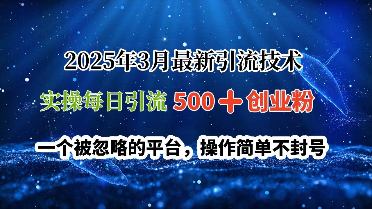 2025年3月最新引流技术，实操每日引流500➕创业粉，一个被忽略的平台，操作简单不封号-蓝图副业