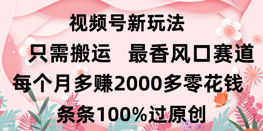 日入2000+，条条100%过原创，视频号最香风口赛道，小白轻松上手-蓝图副业
