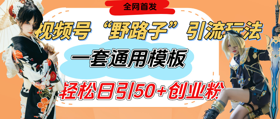 视频号“野路子”玩法，评论区疯狂截流，一套模板单日单号引流50+创业粉-蓝图副业