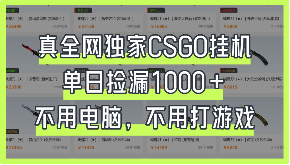 真全网独家CSGO挂机，单日捡漏1000+-蓝图副业