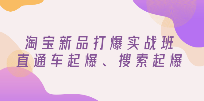【副业项目3372期】淘宝新品打爆实战班（淘宝店铺如何增加流量和访客）-蓝图副业