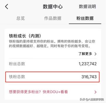 如何正确利用抖音流量池-蓝图副业