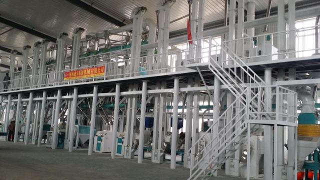 五十吨玉米深加工项目赚钱吗？小型玉米深加工项目有哪些？-蓝图副业
