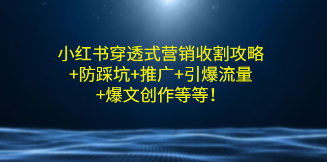 【副业项目3458期】小红书穿透式营销收割攻略+防踩坑+推广+引爆流量+爆文创作(小红书的营销方法策略)-蓝图副业