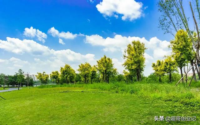 自媒体公司老板分享做自媒体的秘籍（做自媒体怎么月收入过万）-蓝图副业
