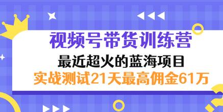 【副业项目3489期】视频号带货训练营，实战测试21天最高佣金61W（视频号带货怎么做）-蓝图副业