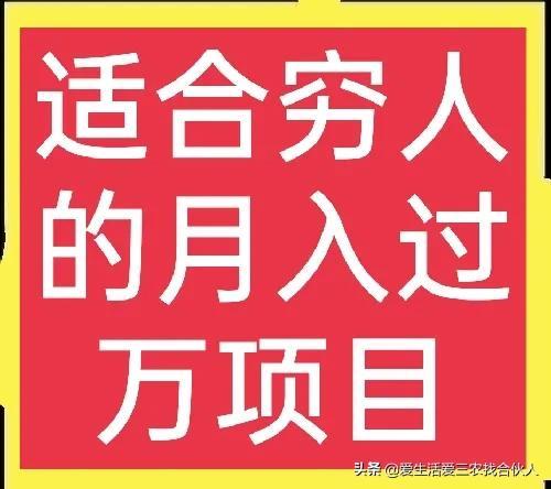 适合农村人做的赚钱项目（在农村做什么项目好）-蓝图副业