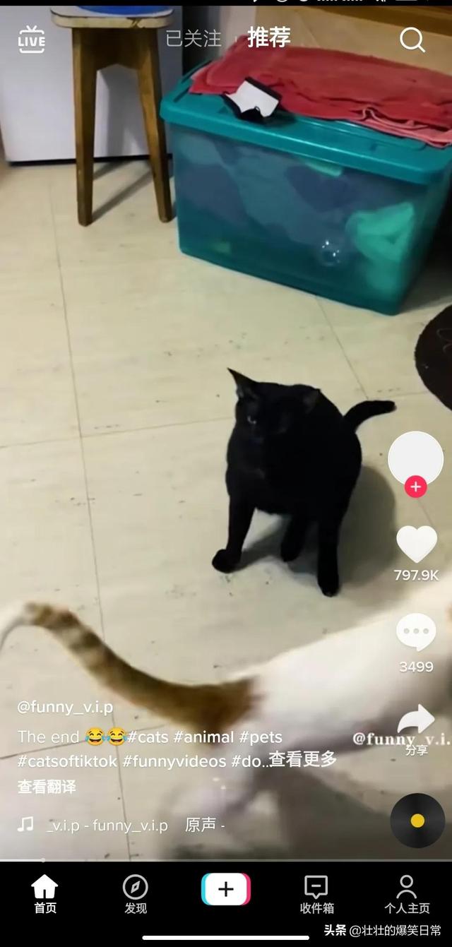 如何使用海外版抖音（国内怎样使用tiktok）-蓝图副业