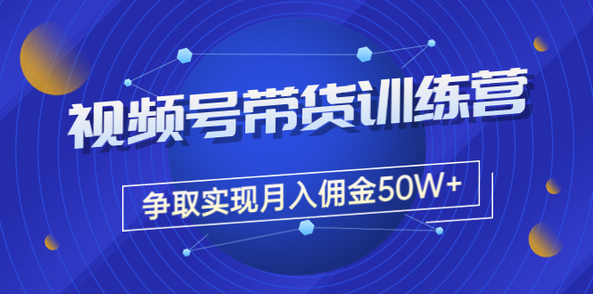 【副业项目3707期】视频号直播带货教程,教你如何实现月入佣金50W+(课程+资料+工具)-蓝图副业