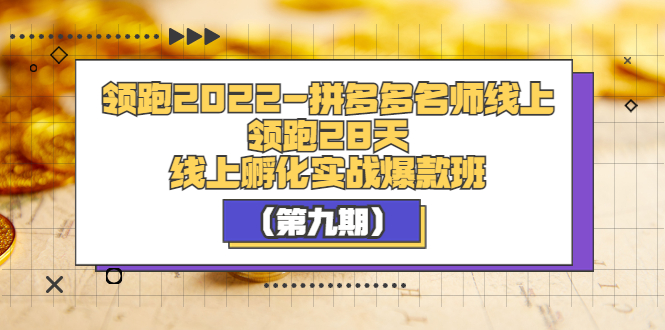 【副业项目3821期】拼多多名师线上领跑28天，拼多多线上孵化实操爆款班（第九期）-蓝图副业