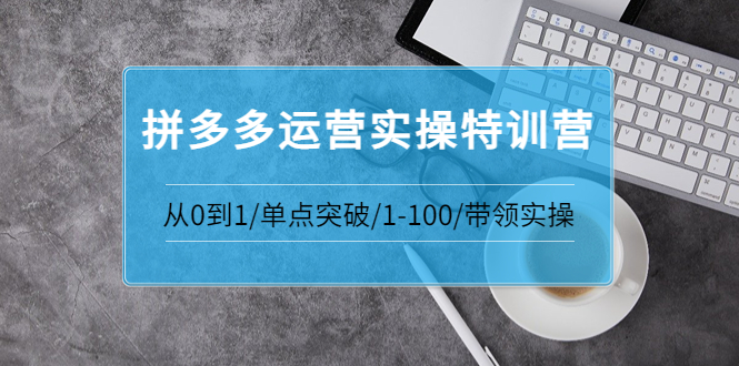 【副业项目3863期】拼多多运营实操特训营：拼多多直通车进阶优化技巧，拼多多如何操作利润最大化-蓝图副业
