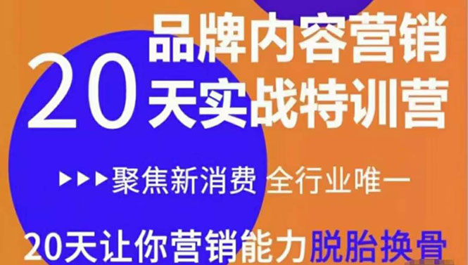 【副业项目3899期】《内容营销实操特训营》20天让你营销能力脱胎换骨（价值3999）-蓝图副业