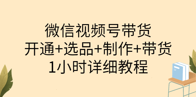 【副业项目3940期】陈奶爸·微信视频号带货：开通+选品+制作+带货（1小时详细教程）-蓝图副业