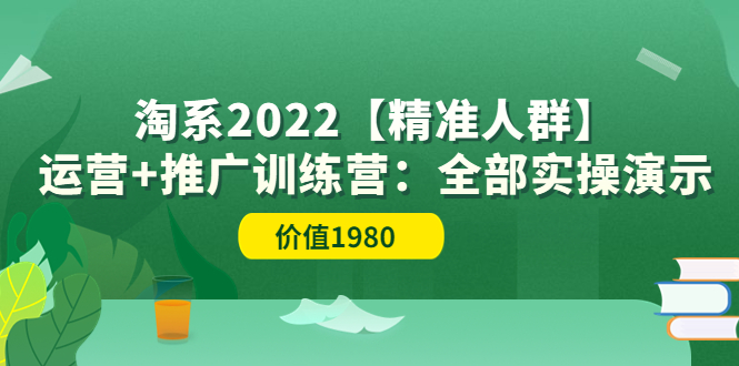 【副业项目3941期】淘系2022【精准人群】运营+推广训练营：全部实操演示-蓝图副业