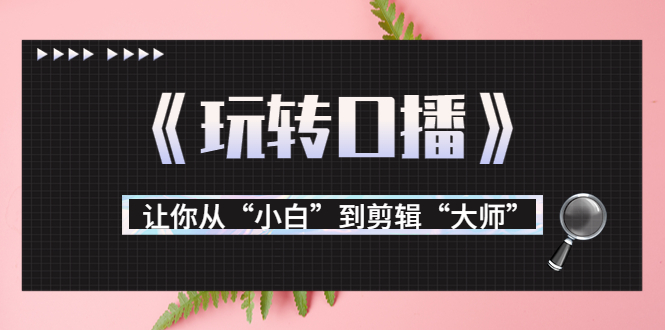【副业项目3987期】月营业额700万+大佬教您《玩转口播》让你从“小白”到剪辑“大师”-蓝图副业