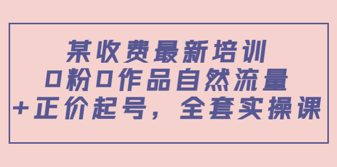 【副业项目4039期】某收费最新培训：0粉0作品自然流量+正价起号，全套实操课-蓝图副业