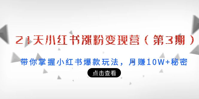 【副业项目4158期】21天小红书涨粉变现营（第3期）：带你掌握小红书爆款玩法，月赚10W+秘密-蓝图副业