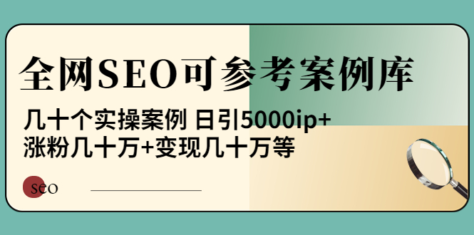 【副业项目4188期】《全网SEO可参考案例库》几十个实操案例 日引5000ip+涨粉百W+变现几十W等-蓝图副业