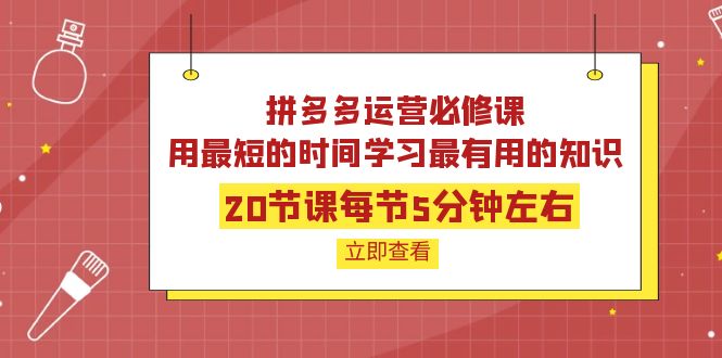 【副业项目4189期】拼多多运营必修课：20节课每节5分钟左右，用最短的时间学习最有用的知识-蓝图副业